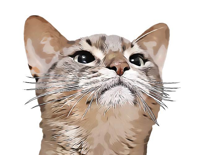 SALE／99%OFF】 うちの子オーダー 似顔絵うちの猫 動物 ペット アート イラスト 絵画 猫